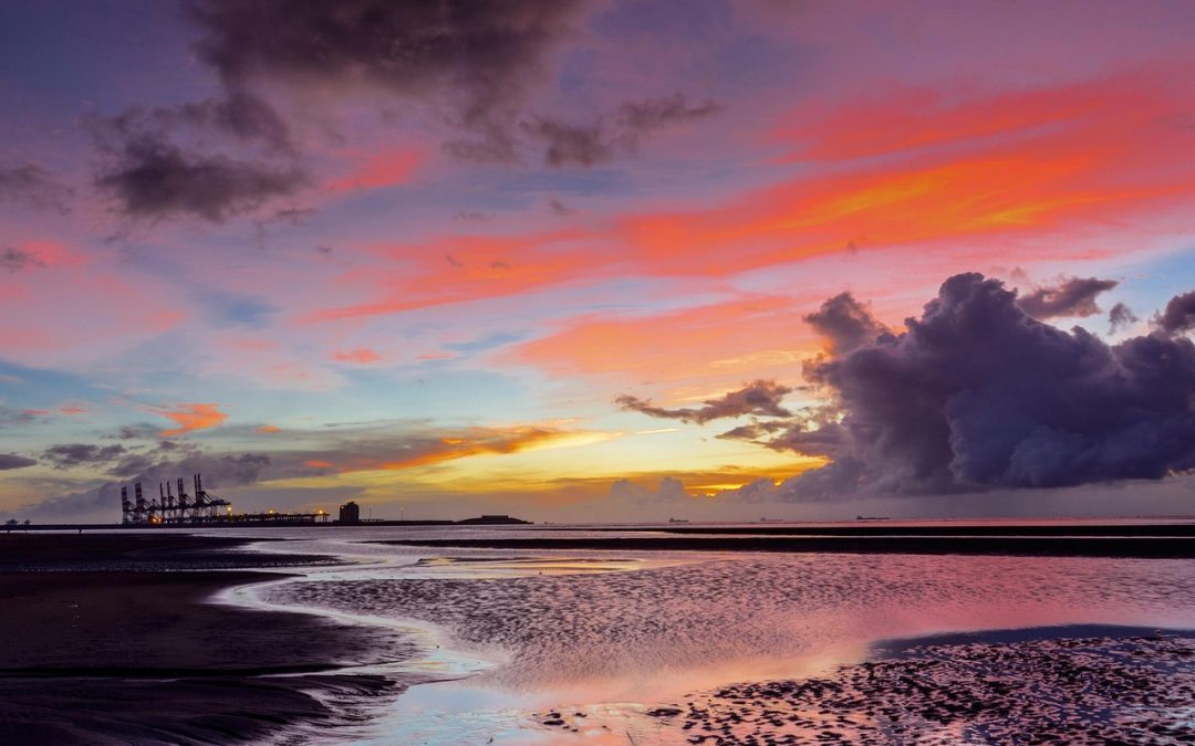 Tips Menghindari Penolakan Visa Kunjungan di Mesuji